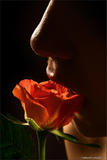 Nata - Bodyscape: Love is a Rose-333g3t401r.jpg