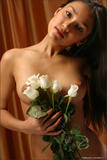 Kamilla - White Rose-40is5gfnr0.jpg