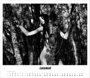 Lenzo-Kart-Calendar-2012--309x39k1t1.jpg